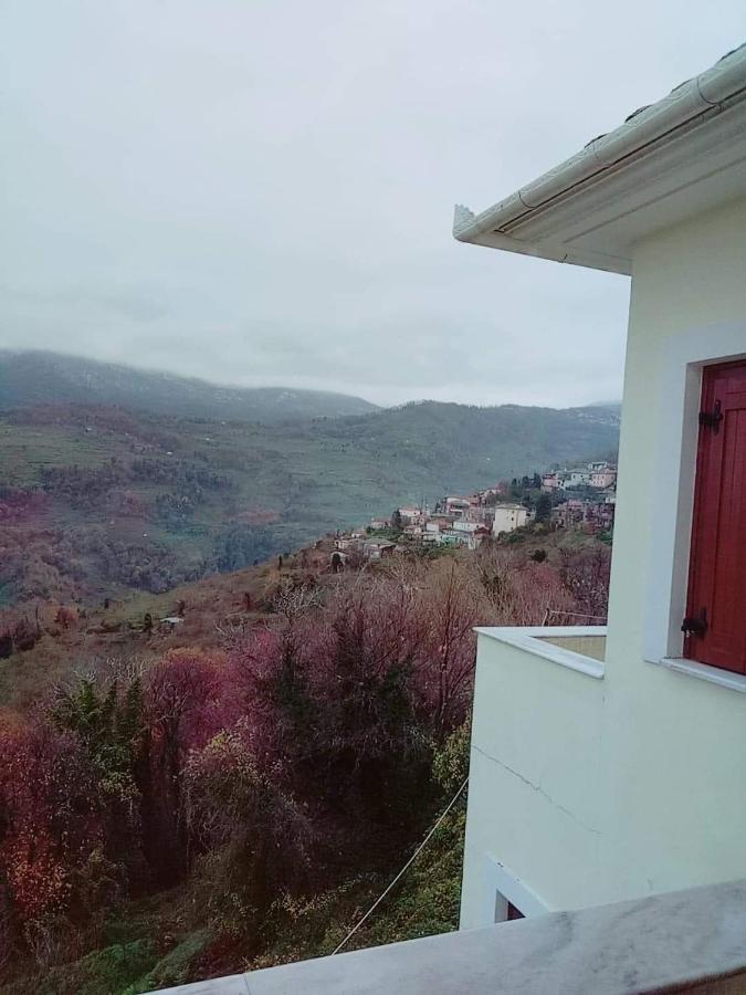 Evridiki Zagora Exterior foto
